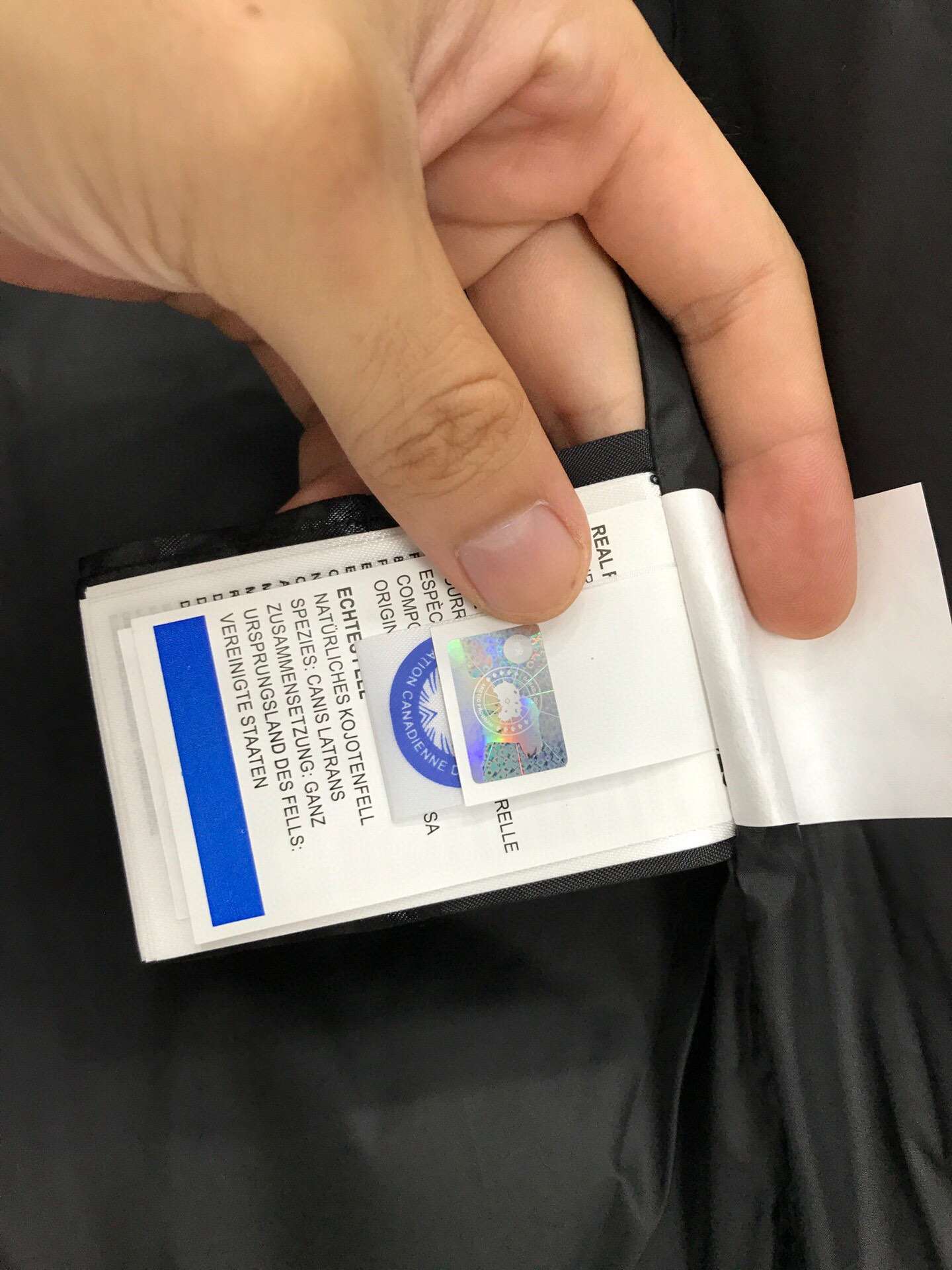 Winter Down Jacket-Canada Goose