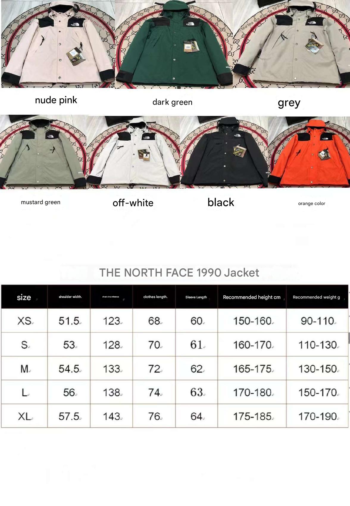 Winter Down Jacket-The North Face