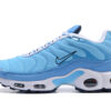 Nike Air Max Plus Tn Running shoe Sneakers