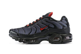 Nike Air Max Plus Tn Running shoe Sneakers