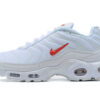 Nike Air Max Plus Tn Running shoe Sneakers