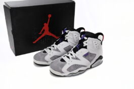 CI3125-100 Air Jordan 6 Grayish Purple