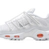 Nike Air Max Plus Tn Running shoe Sneakers