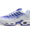 Nike Air Max Plus Tn Running shoe Sneakers