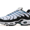 Nike Air Max Plus Tn Running shoe Sneakers