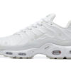 Nike Air Max Plus Tn Running shoe Sneakers