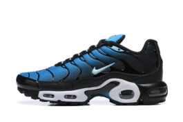 Nike Air Max Plus Tn Running shoe Sneakers