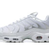 Nike Air Max Plus Tn Running shoe Sneakers