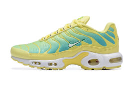 Nike Air Max Plus Tn Running shoe Sneakers
