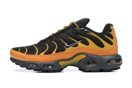 Nike Air Max Plus Tn Running shoe Sneakers