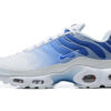 Nike Air Max Plus Tn Running shoe Sneakers