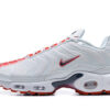 Nike Air Max Plus Tn Running shoe Sneakers