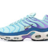 Nike Air Max Plus Tn Running shoe Sneakers