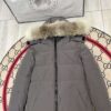 Canada Goose Limited Edition Down Jackets - Unique Winter Styles E22-Mystique