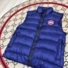 Canada Goose Insulated Down Jackets ¨C Perfect for Extreme Cold Weather Vest Crufton