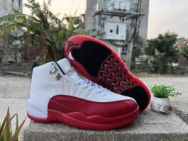 Air Jordan 12