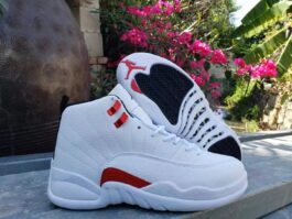 New Air Jordan 12 colorway